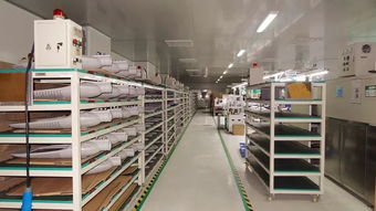 響應一帶一路倡議，燈具塑件企業積極拓展海外市場